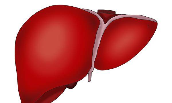 肝脏|晨起后的3件事，伤肝伤血管，50岁后的人请别做，别拿身体开玩笑