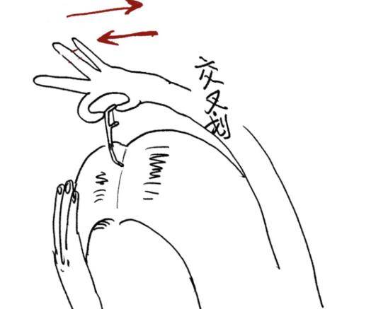 美貌鞠婧祎的头发破案了，没有头发缝是小心机，操作过程很累人