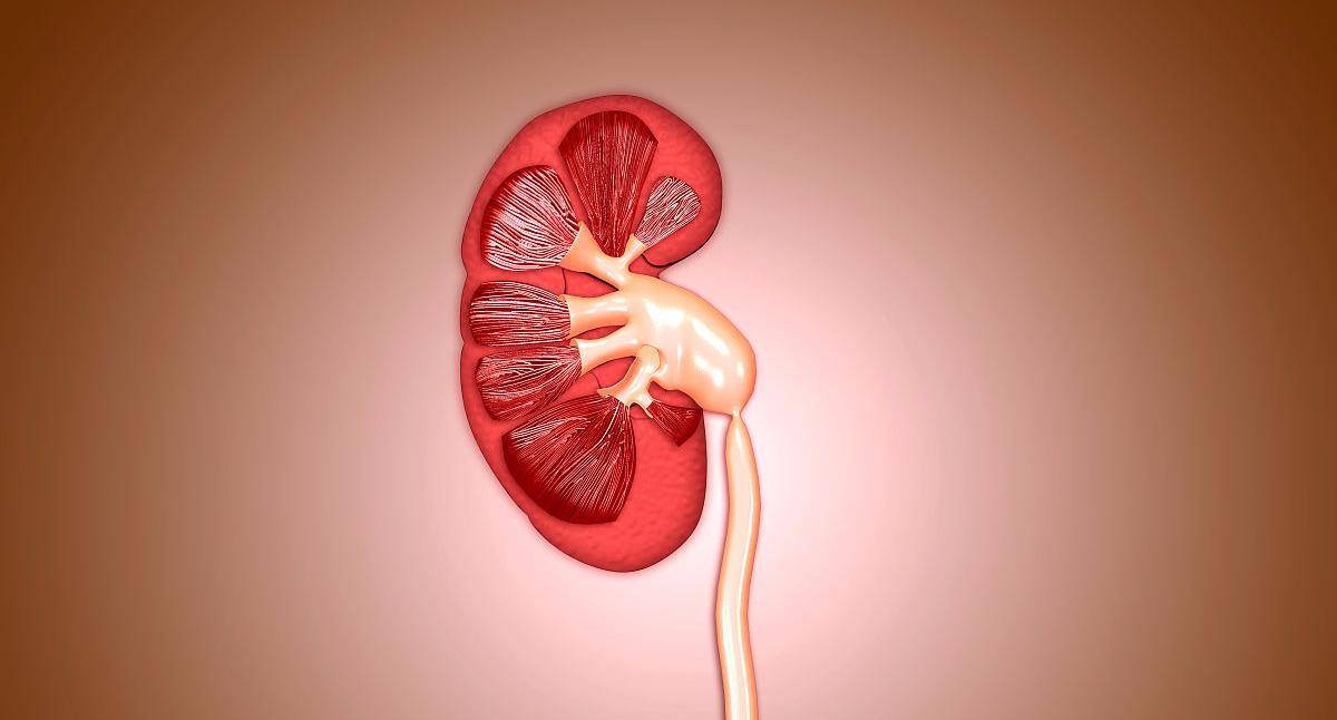 肾脏|大学生肾衰竭入院，医生：肾脏疾病趋于年轻化，3坏习惯趁早改掉