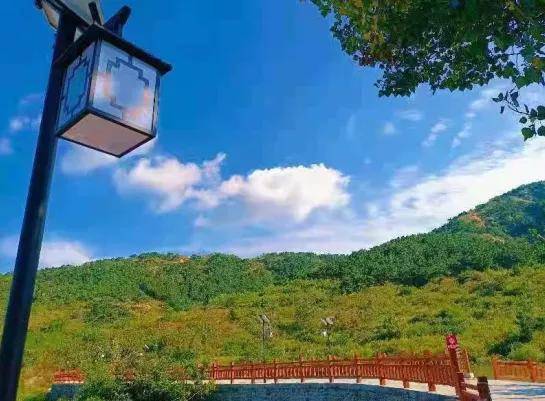 翔海森林小镇龙口下丁家镇这个村仿佛山沟里的世外桃源