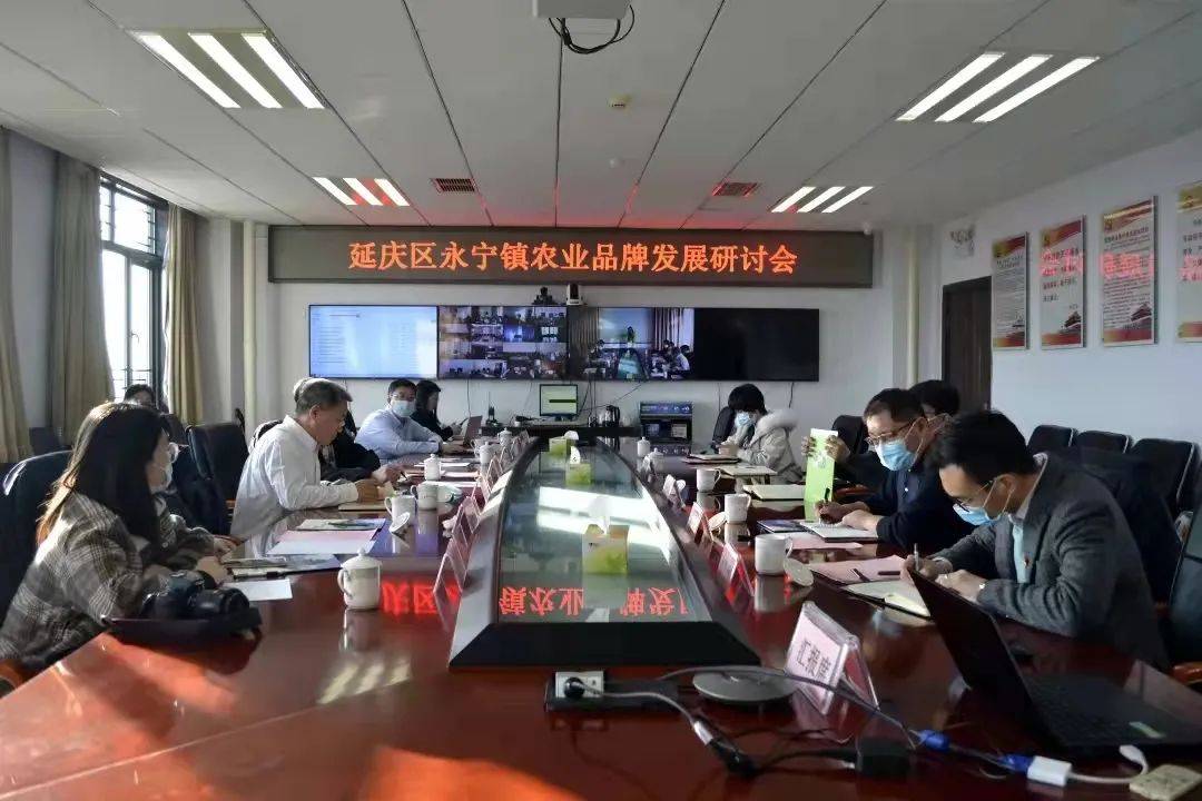农业品牌发展研讨会为延庆区永宁农业高质量发展提供大力支持_产业