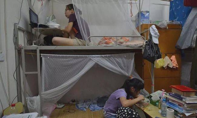 女生宿舍照片实拍干净 99bf03d9336c40eebb73e03d323875af.jpeg