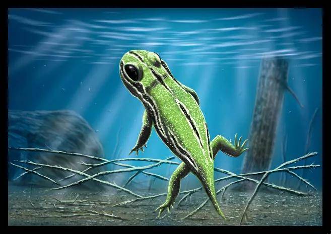 史前两栖动物图片和简介