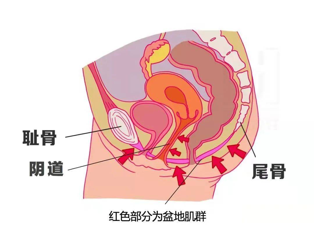 妈妈们一定要知道!