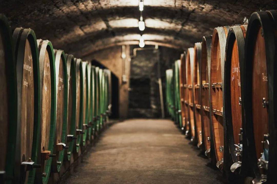 雷司令名家,马库斯莫利托(markus molitor)!_酒庄_葡萄园_und