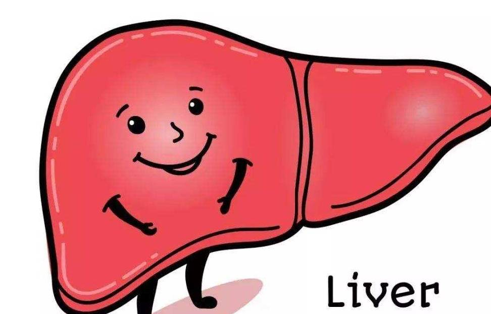 肝脏|肝好不好，看脚就知道，若没有这些变化，说明肝很干净