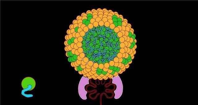 他汀|低密度脂蛋白多少才算是正常的？你或许真的不知道，看专家的理解