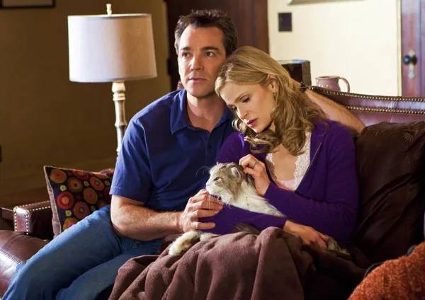 智慧|一集一案，高分烧脑悬疑美剧《罪案终结》