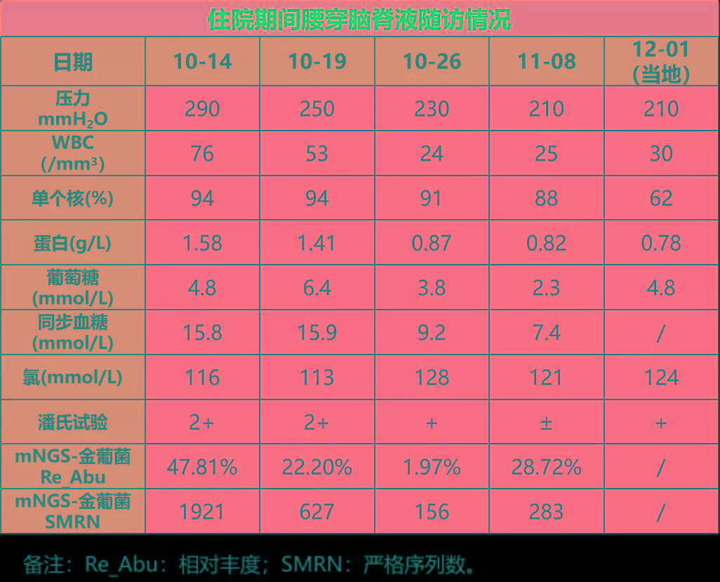 阴性|探案丨是“谁”在我脑子里打散了荷包蛋？