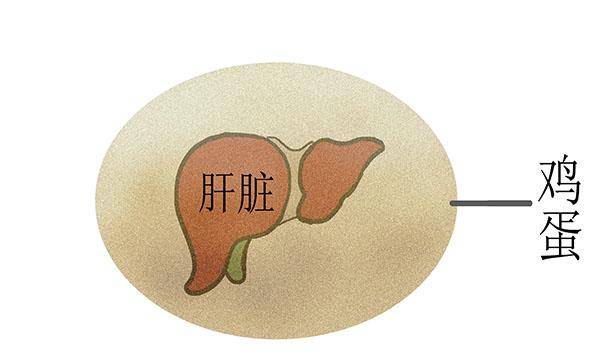 治疗|得乙肝20多年，肝脏没硬化，他所用的护理方法，医生表示认可