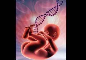 什么是基因遗传病 c98f2ba2a0784950a986c7a74504e461.jpeg