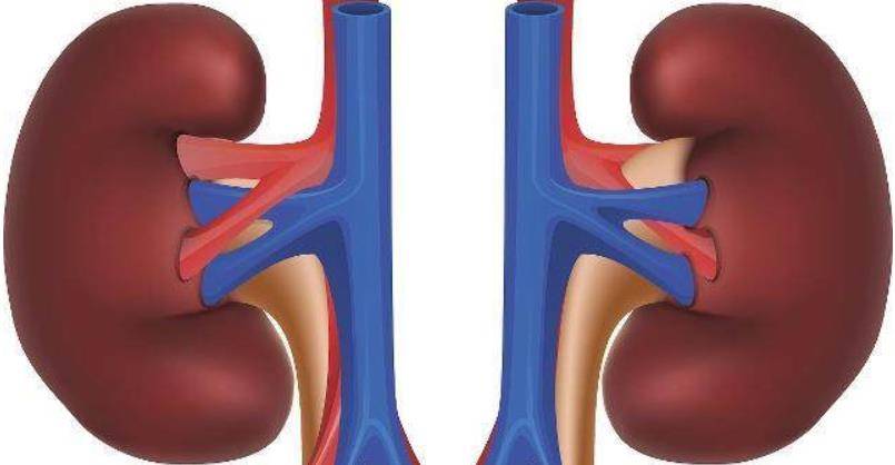 症状|肾衰竭有6个前兆，中一条也别大意，早发现早治疗