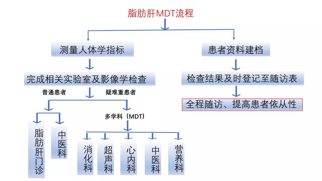 高脂肪|体检发现脂肪肝，该如何处理呢？