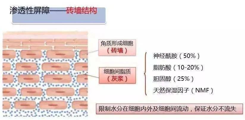 女神用油泡出好皮肤？全网刷屏的油敷法到底靠不靠谱？