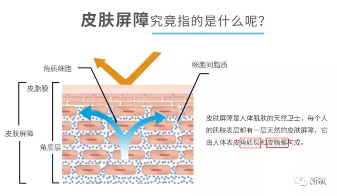 美人头顶飞蛾、耳戴灯球、药粉擦脸，中产美人搞氛围也很卷啊！