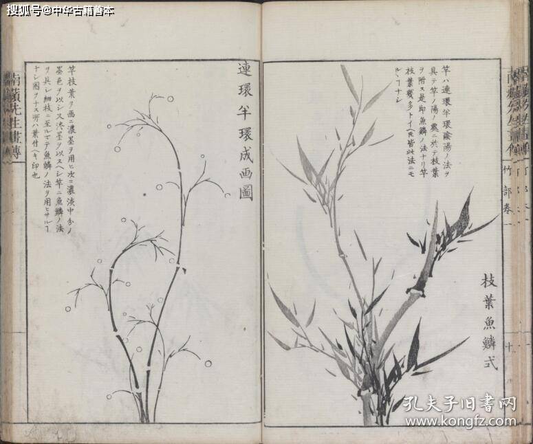 熊代|兰斋画谱：沈南苹再传弟子所编，日本的《芥子园画传》