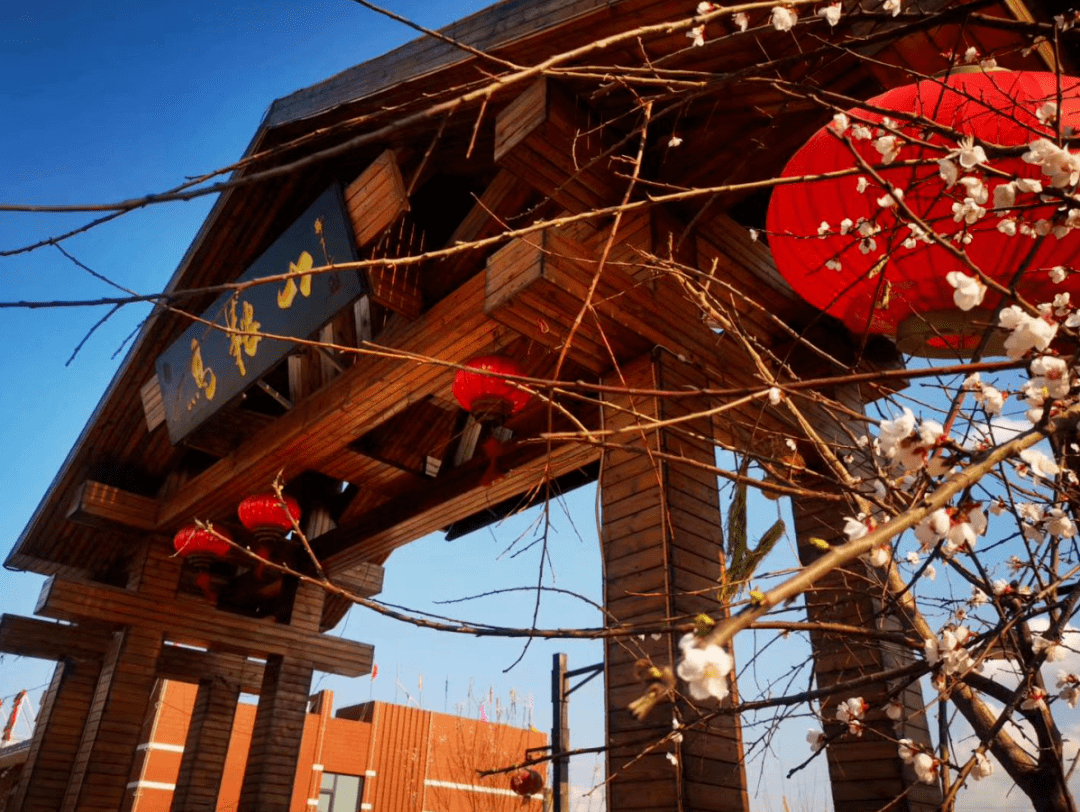 雪地|海峡两岸《我们心相连》