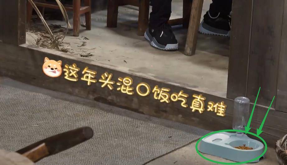 节目组|黄磊何炅遭遇“家徒四壁式”开局，张艺兴智斗节目组，带来好消息