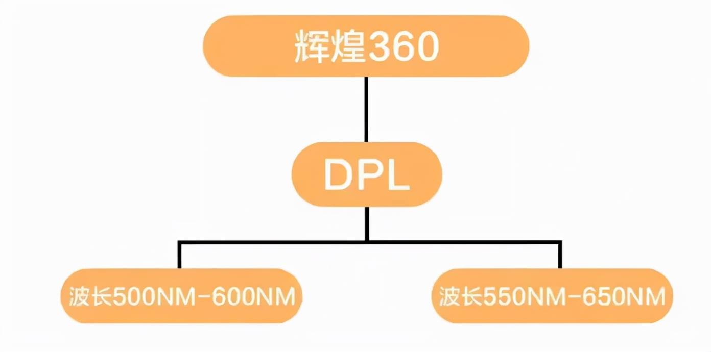 威廉明明代代混入大美人基因，可这个大家族怎么还是越来越丑？