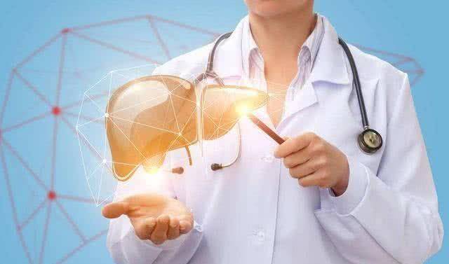 如何养肝护肝排肝毒 45402d0e38bb47e482c6d7ef024d3fc8.jpeg