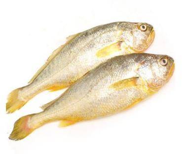 腚波螺搜图编辑辣波螺搜图编辑假鲍鱼搜图编辑钢螺搜图编辑肚脐波螺