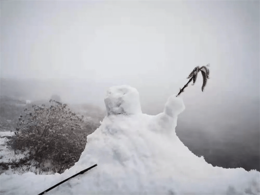 生活|赏高黎贡山雪，盼人间春色