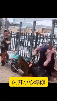 什么|搞笑GIF段子：“橘势”逐渐失控