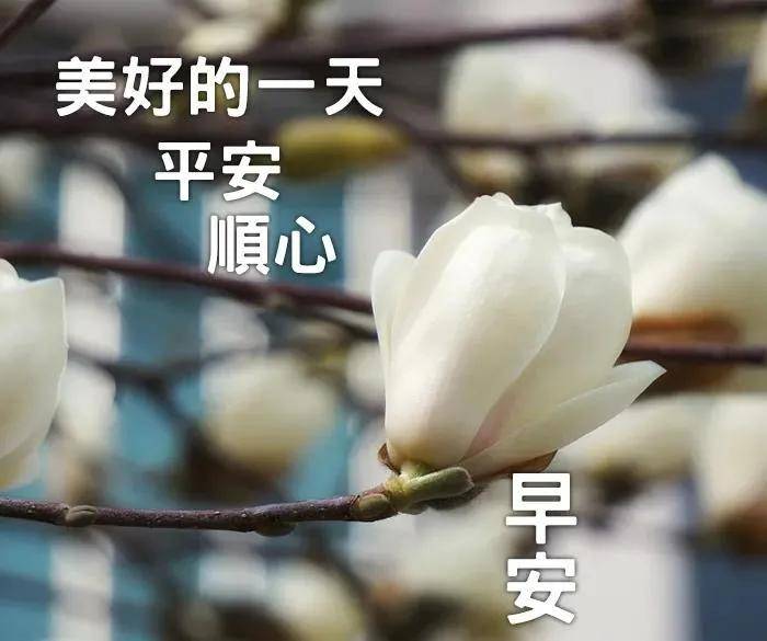 7張最新創意好看的早安早上好圖片帶祝福語 免打字冬日早安問候祝福語