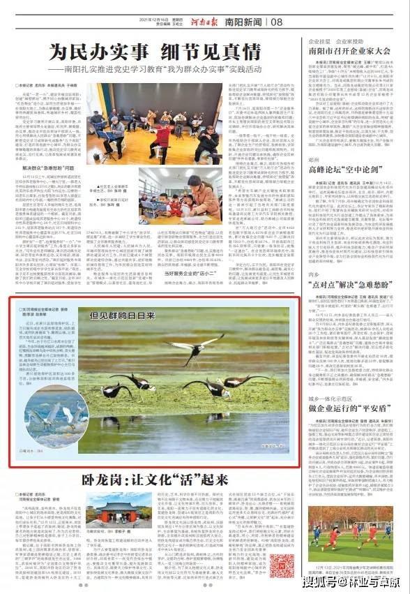 但见群鸥日日来_淅川县_湿地_保护区