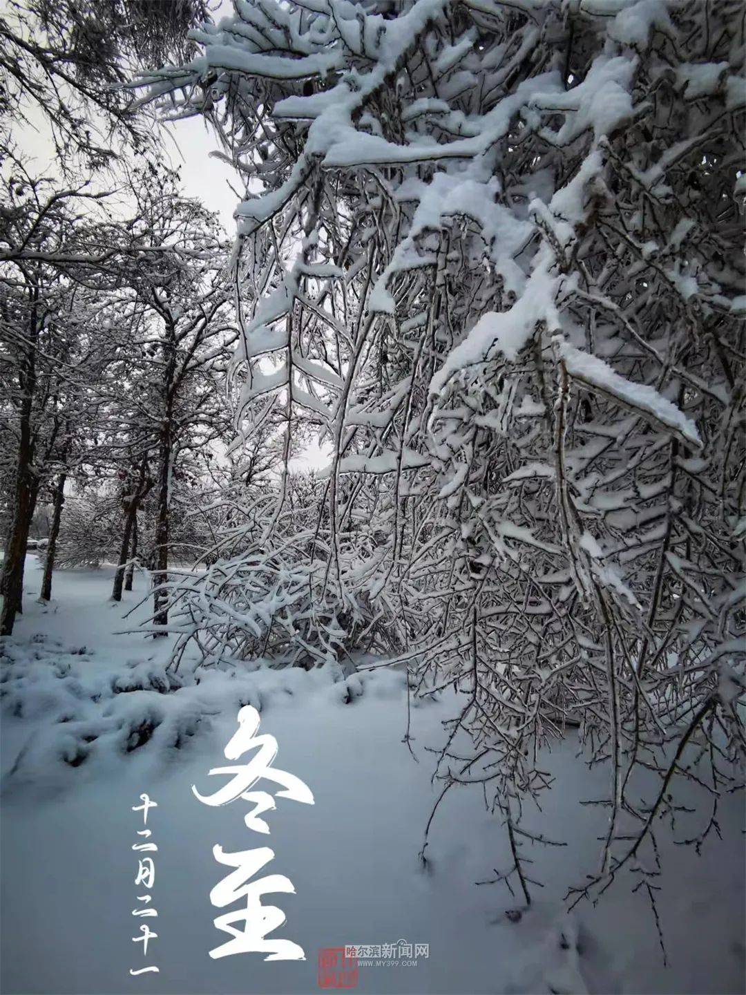 夜间|今日冬至，昼最短，夜最长丨本周哈市气温持续偏低