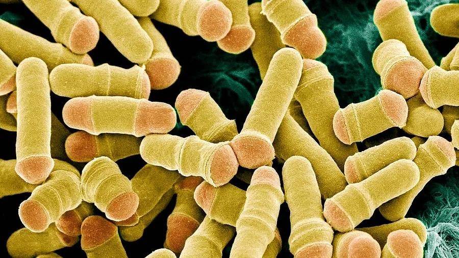 食品生产中酵母菌超标的原因_奥克泰士_污染_消毒液