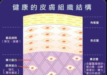 因为水、乳、霜、精华的正确护肤顺序！涂反了不仅“无效”还“伤脸”