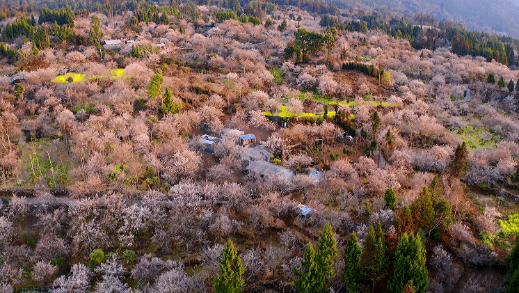 景区|喜讯！腾冲市新增（含提升）11家A级景区