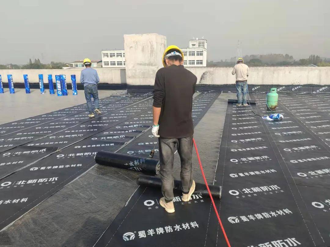 使命引领北新防水助力杭州新地标