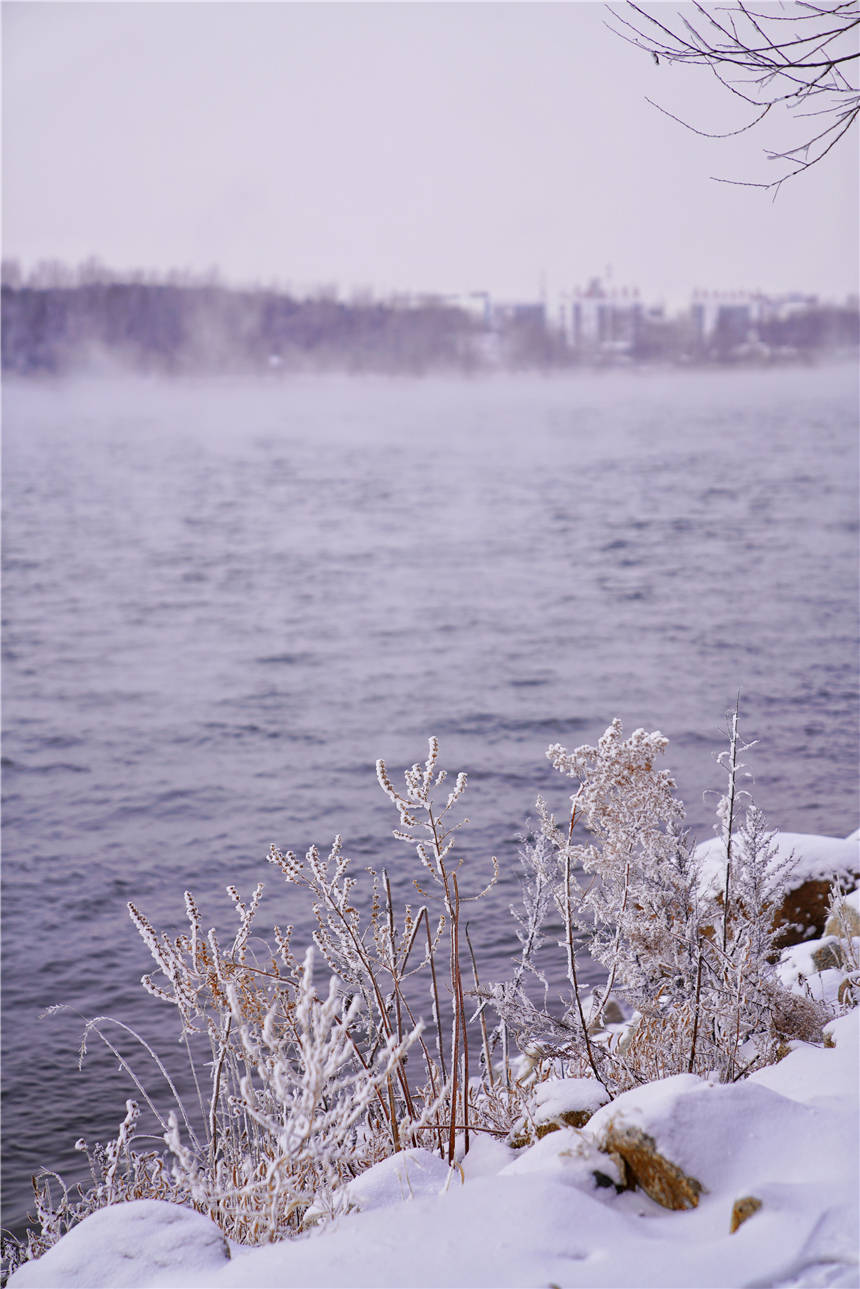 阿什|雾凇仙境，滑雪天堂，解锁吉林市的N种玩法，让这个冬天与众不同