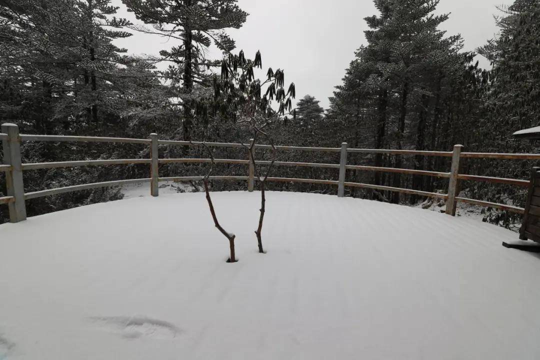 积雪|昆明、大理下雪了！周末云南大部雨雪降温齐发货，局地下降8～10℃！