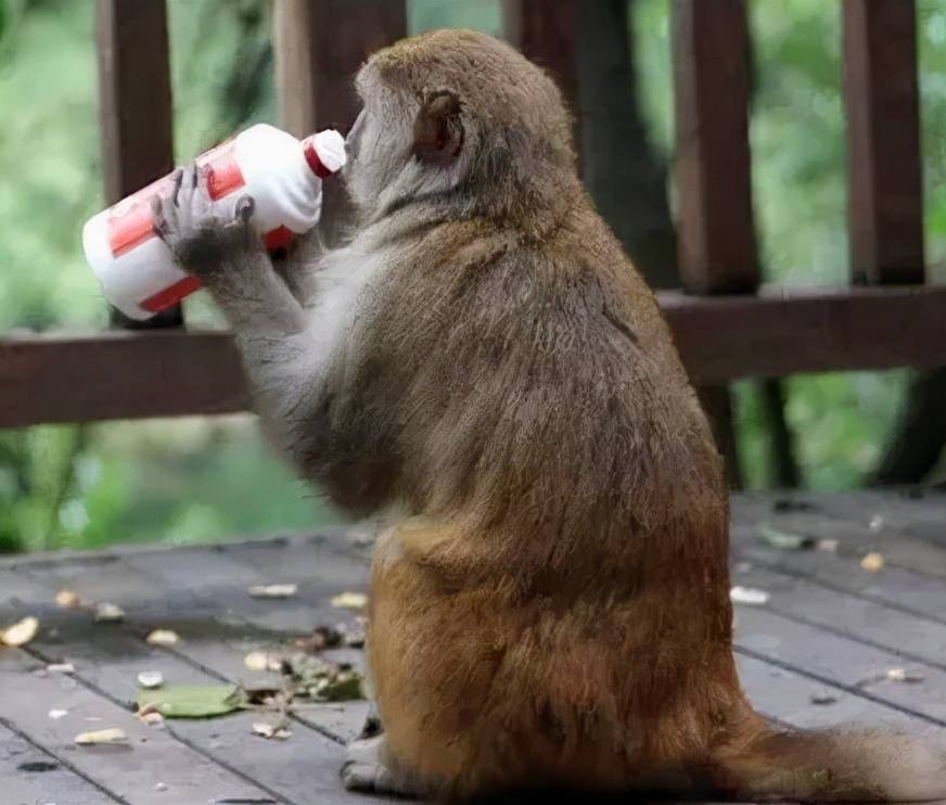 那些鲜为人知的白酒冷知识