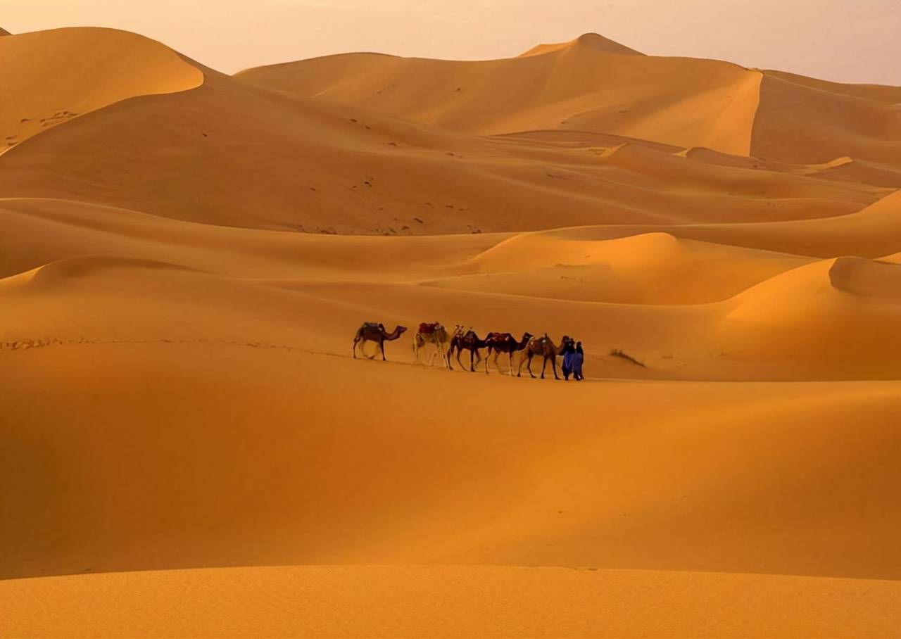 撒哈拉沙漠有多深，如果挖空沙子，下面还能剩下什么？