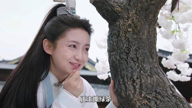 王皓轩|《师兄请按剧本来》开播，新颖好笑，王皓轩屠芷莹成搞笑CP!