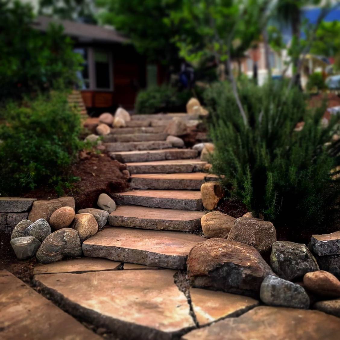 花园里挖出来的石头千万别扔掉有大用处