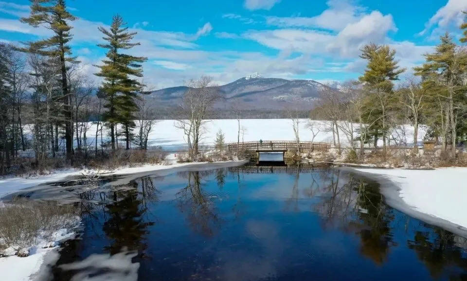 1元买市价60块股票,苏泊尔股权激励被质疑”神操作”-家电圈官网