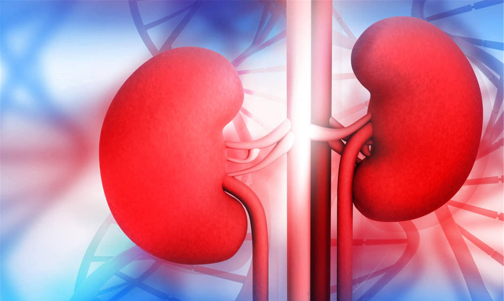 因为|给肾囊肿患者提个醒：5种食物尽量少吃，对肾功能恢复有帮助