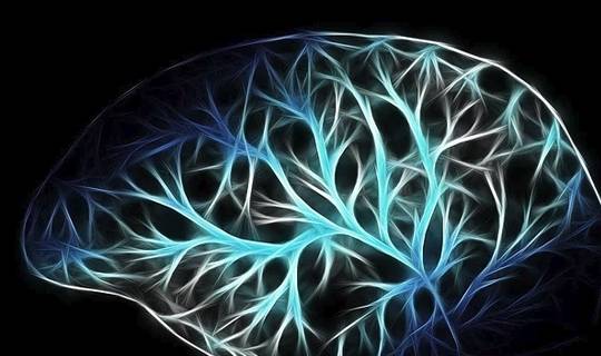 水平|补充这种东西能降低肾病患者死亡率，延长寿命！