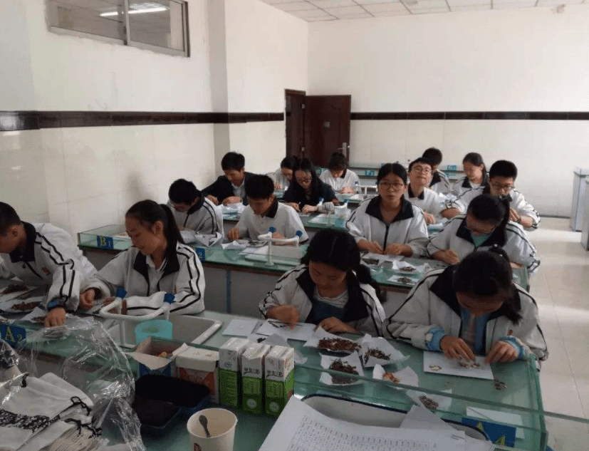 大学怎么提前离校 ab66d11961aa4bf79687556d2507f89d.png