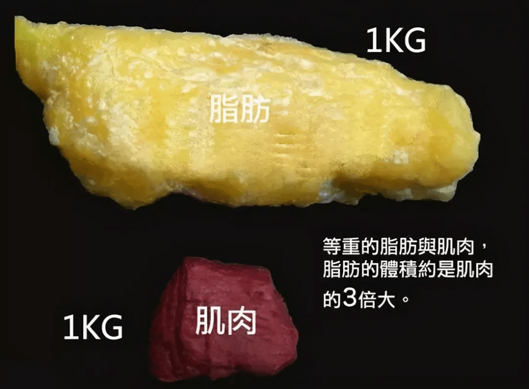 年龄段肌肉力量——最好的抗衰药就在我们自己的身体里