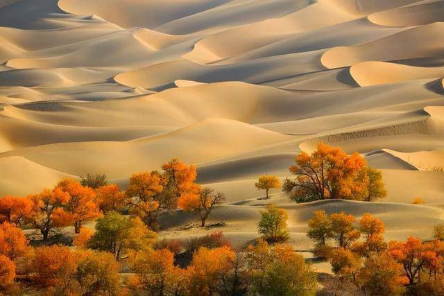 天津资讯- 原创 塔克拉玛干沙漠到底有多深？如果把沙子都挖光，下面是什么