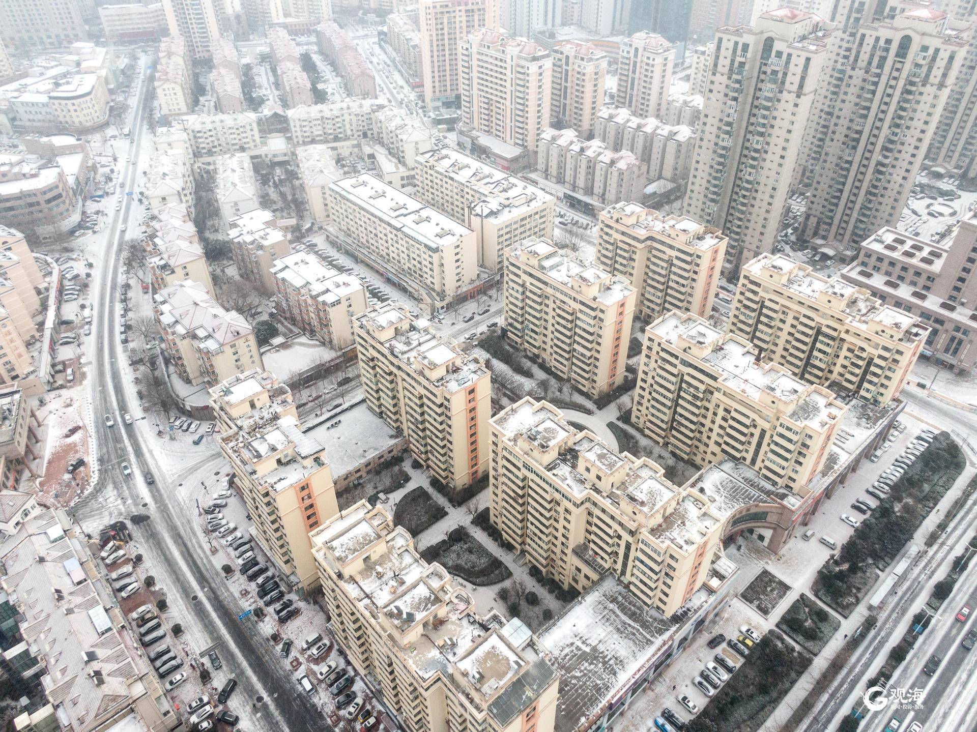 雪景|雪后青岛：雪中景、雪中忙、雪中情、雪中乐……集全了