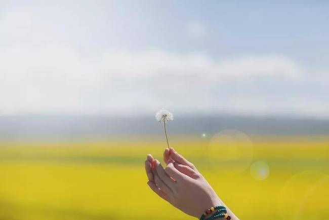 进行|简单三步，间质性肺炎不是问题！