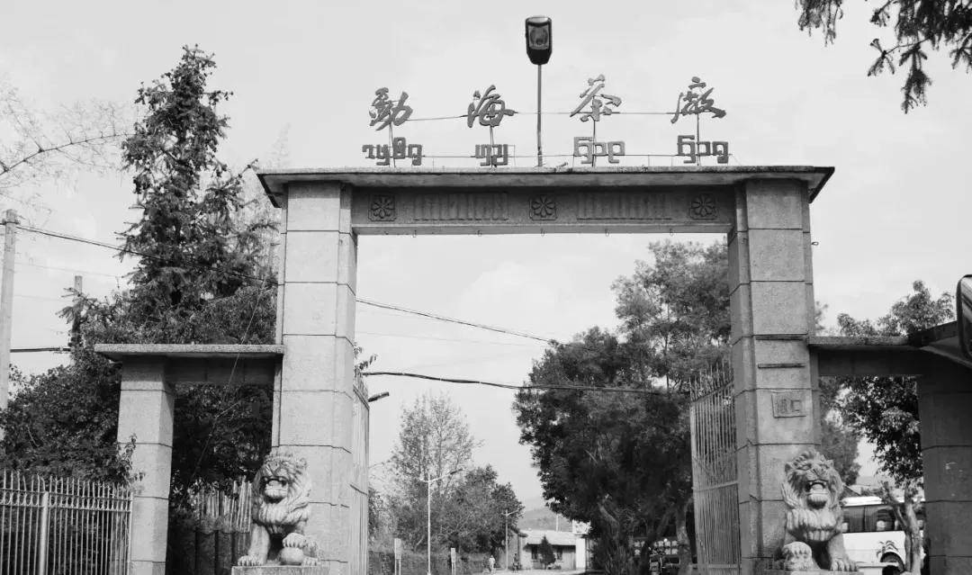 1940年,勐海茶厂正式建成投产,中国普洱茶也由此进入一个新的历史阶段