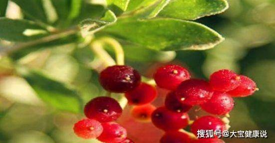 d75b093e965d403bbb155df832da20bb.jpeg